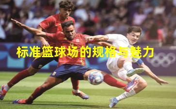 标准篮球场的规格与魅力
